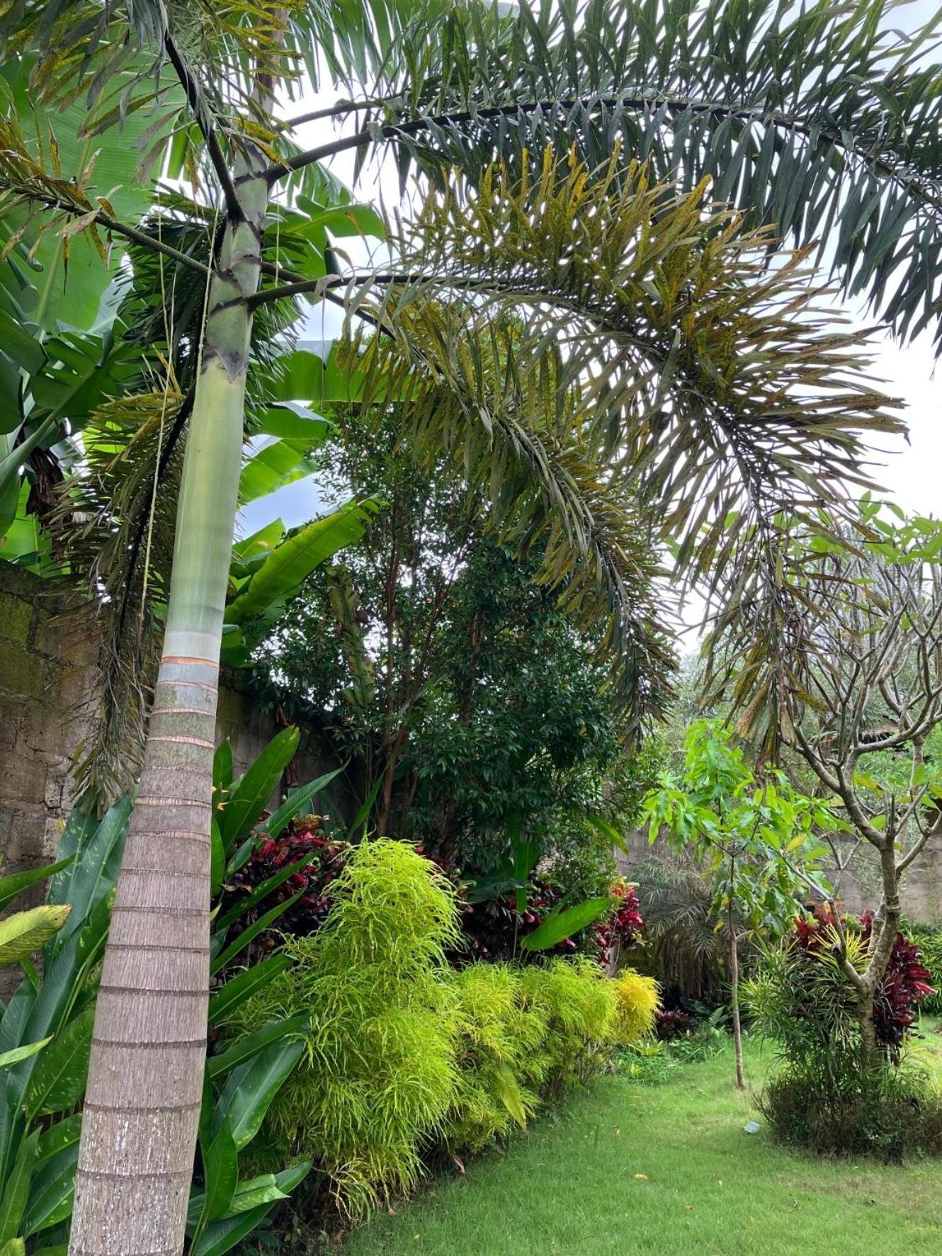 Villa Kelana Sidemen (Bali) Exterior foto